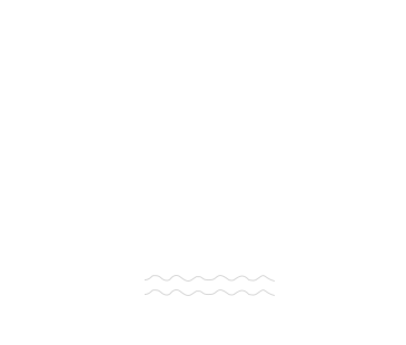 icon9